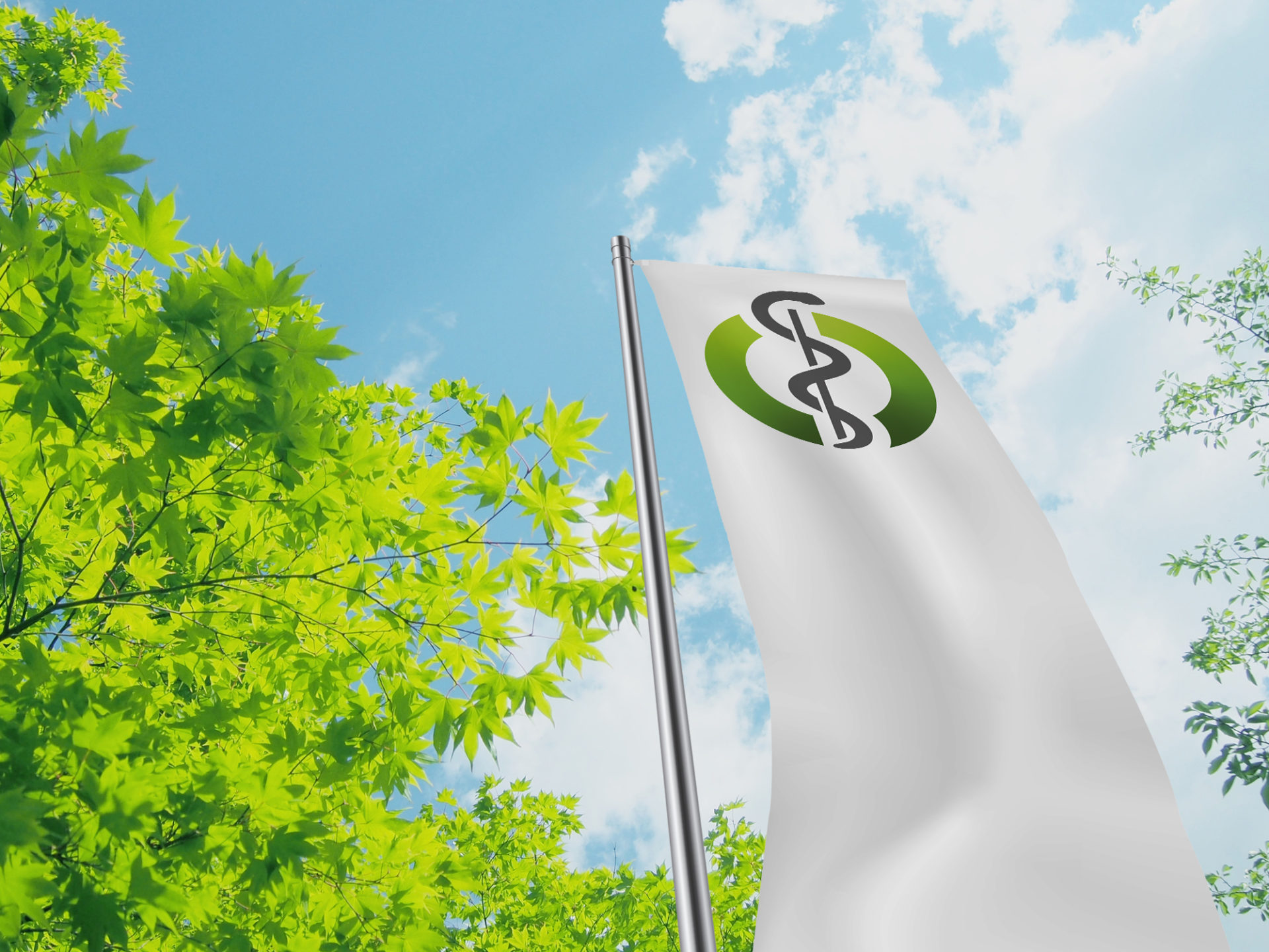 Nachhaltigkeitsmanagement - Titelbild